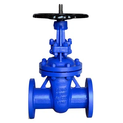 Stalowa stalowa zawór bramki uszczelnia